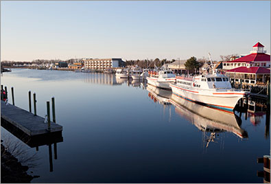 Lewes Harbor